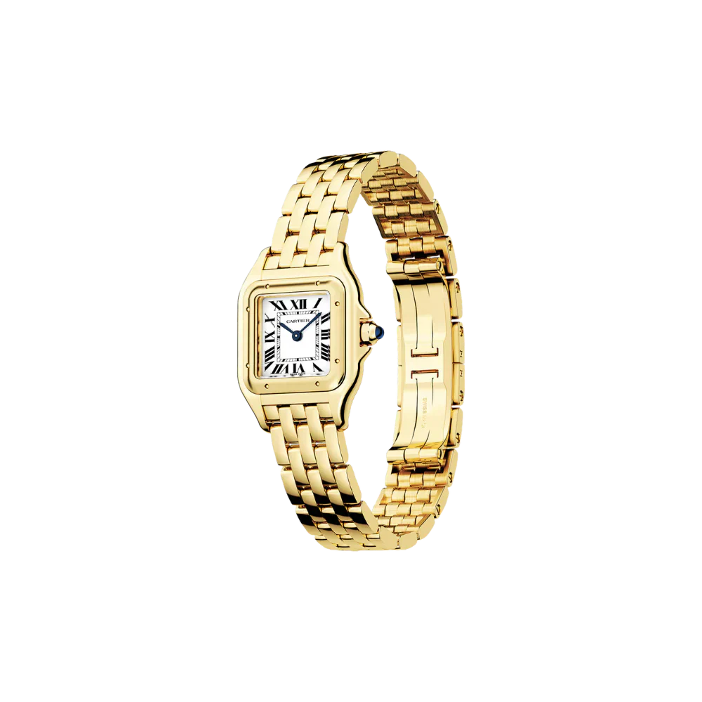 C Panthere de C W2PN0006