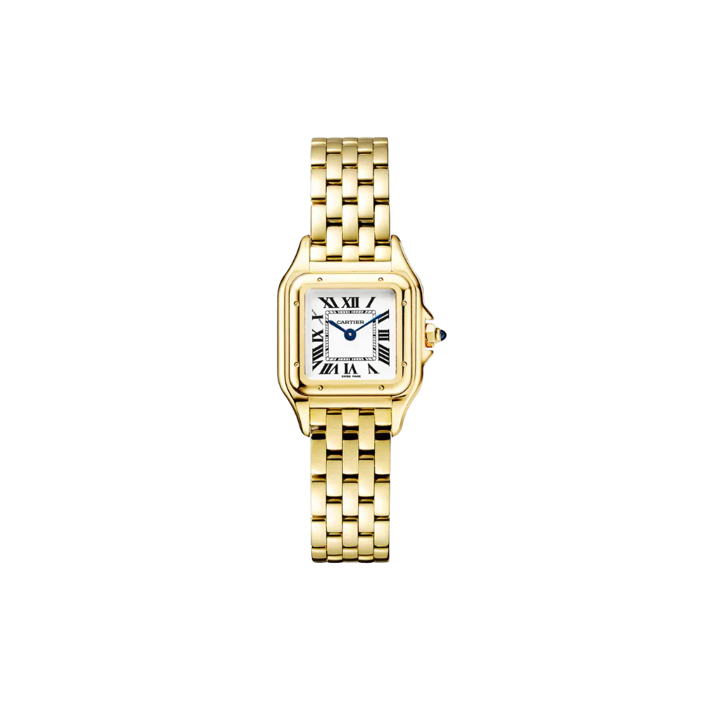 C Panthere de C W2PN0006