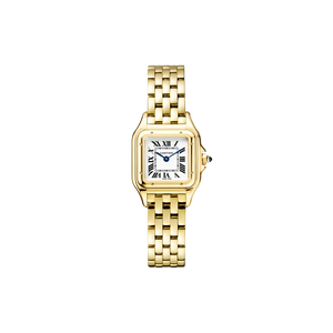 C Panthere de C W2PN0006