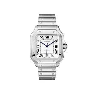 S de C Large Steel watch