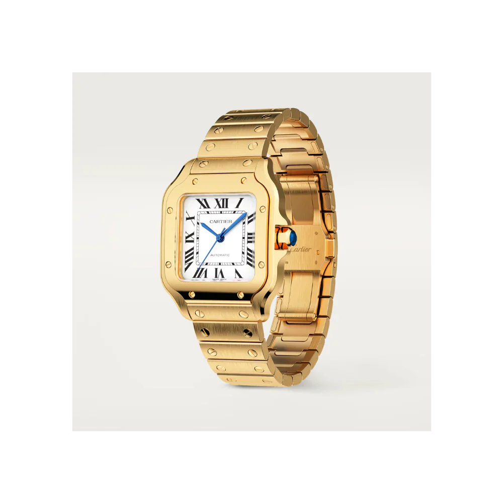 S de C Medium Watch
