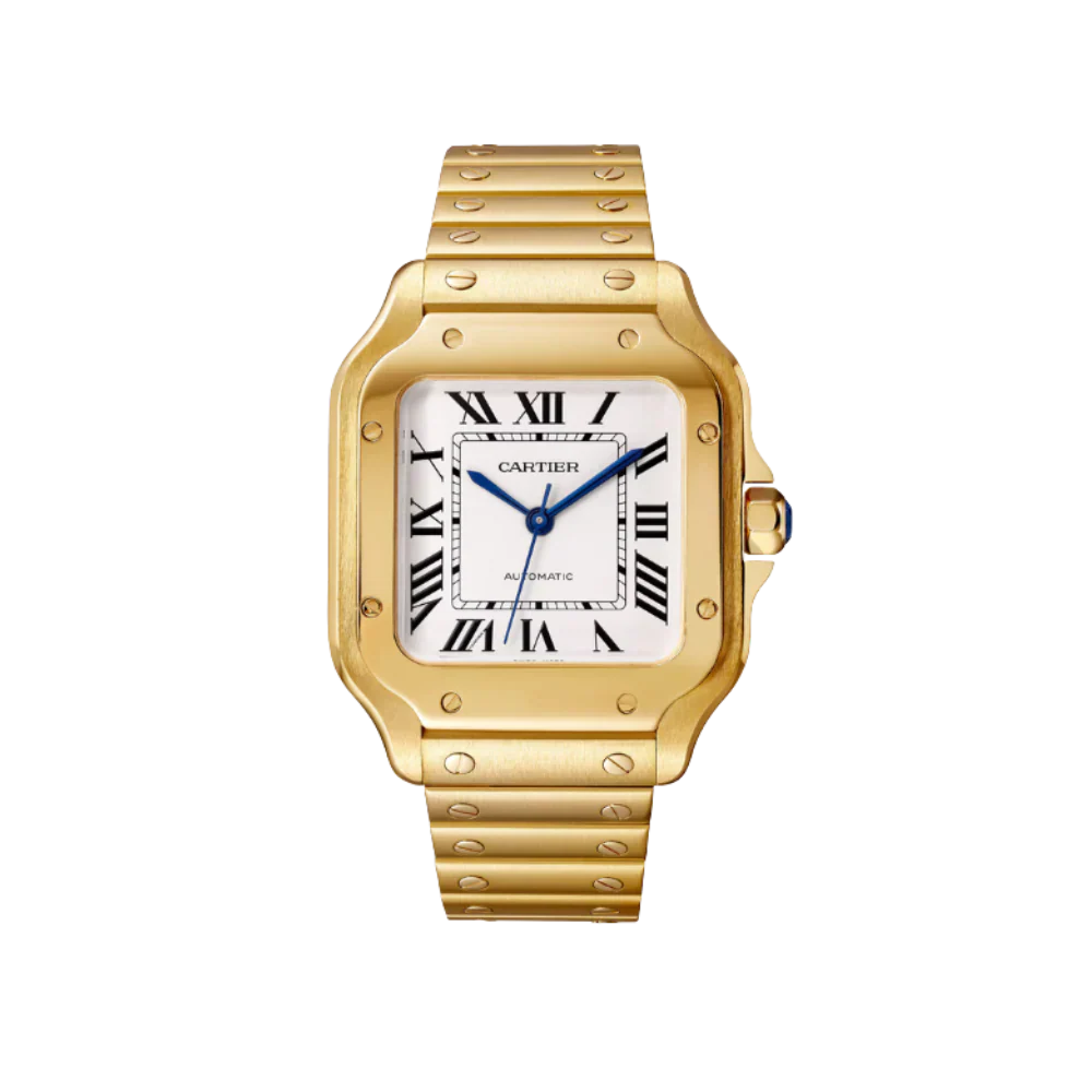 S de C Medium Watch